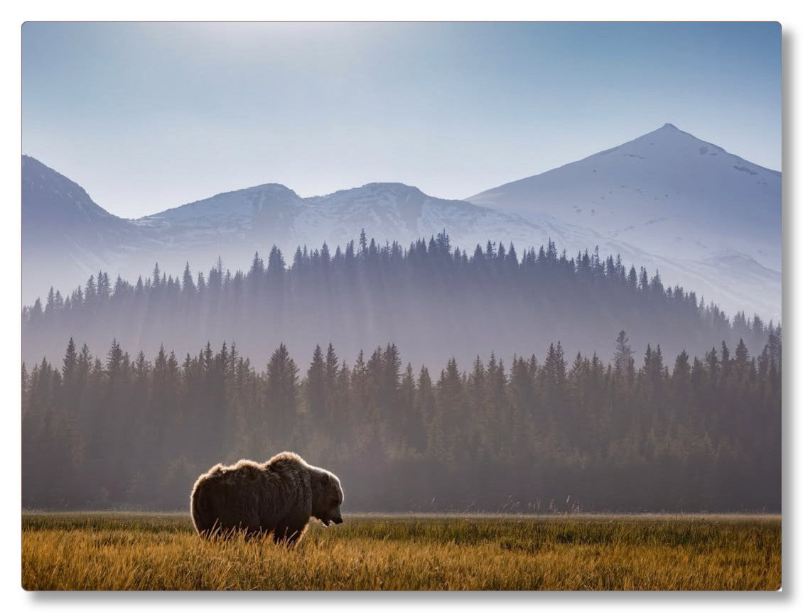 "Evening Graze"