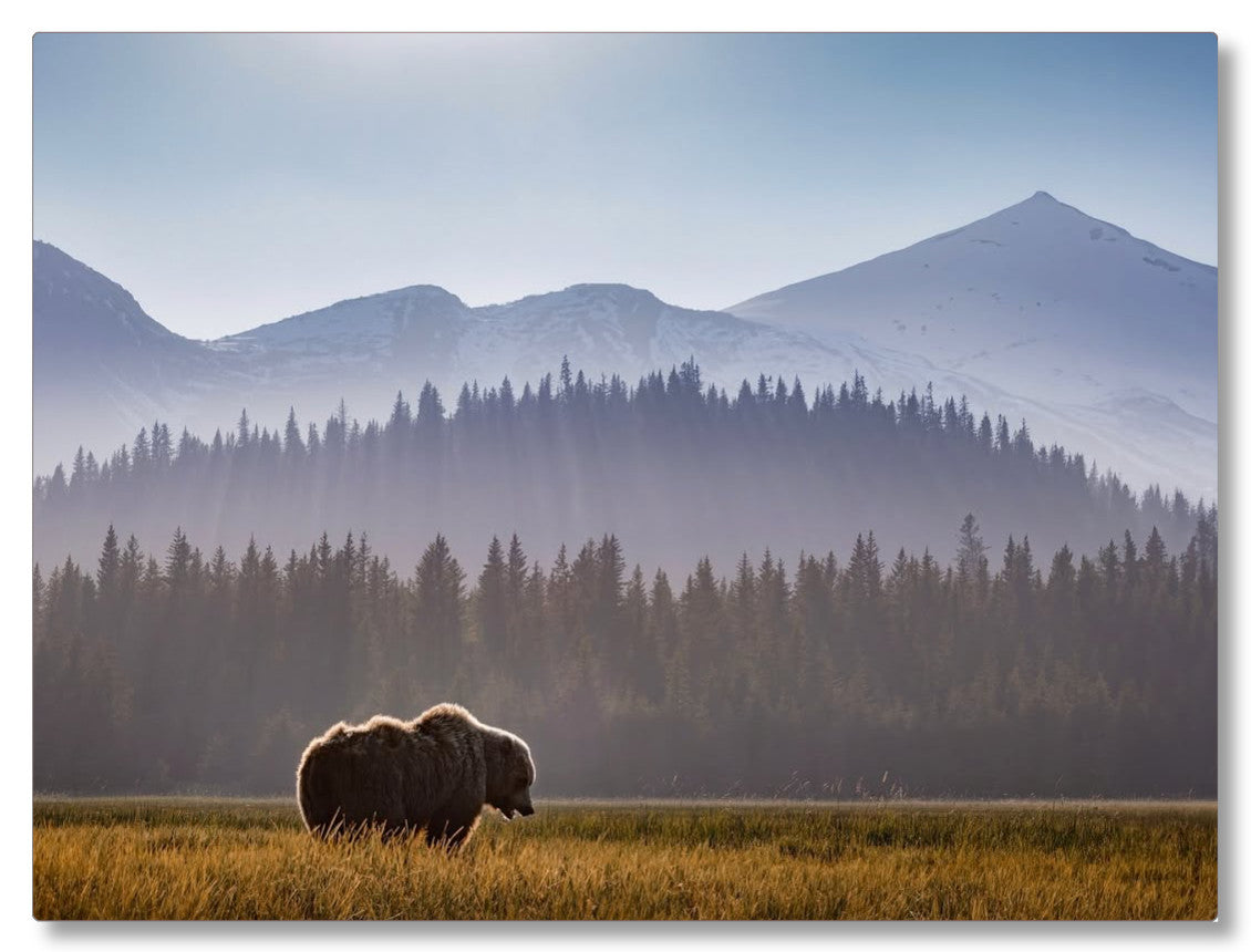 "Evening Graze"