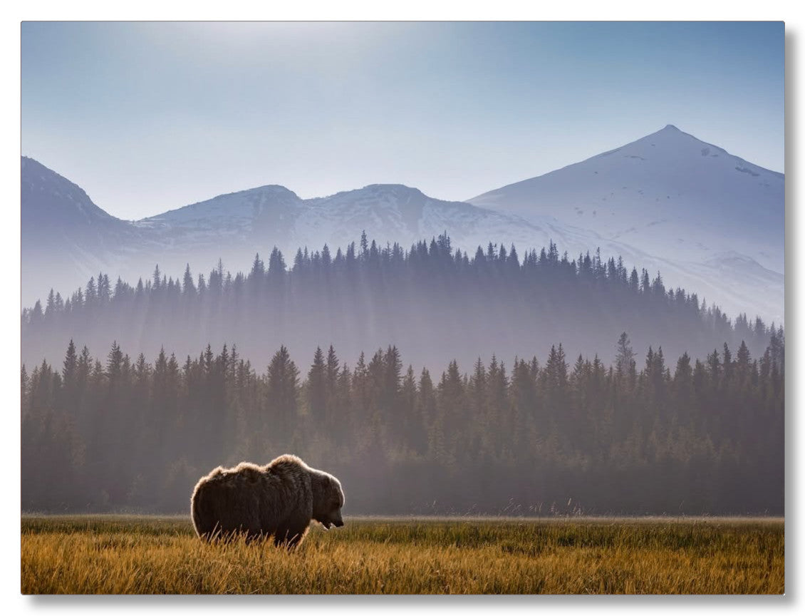 "Evening Graze"