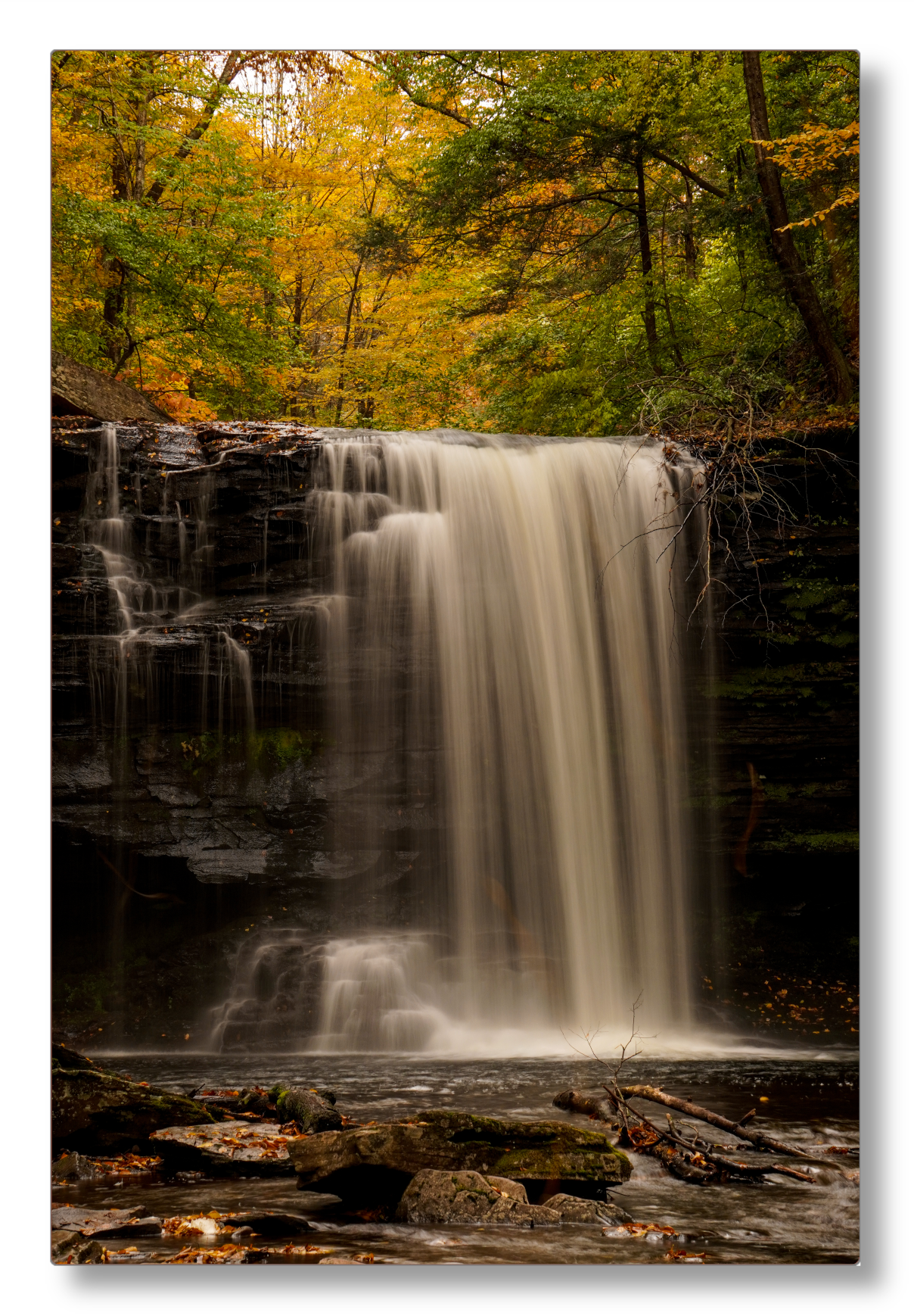 Harrison Wright Falls