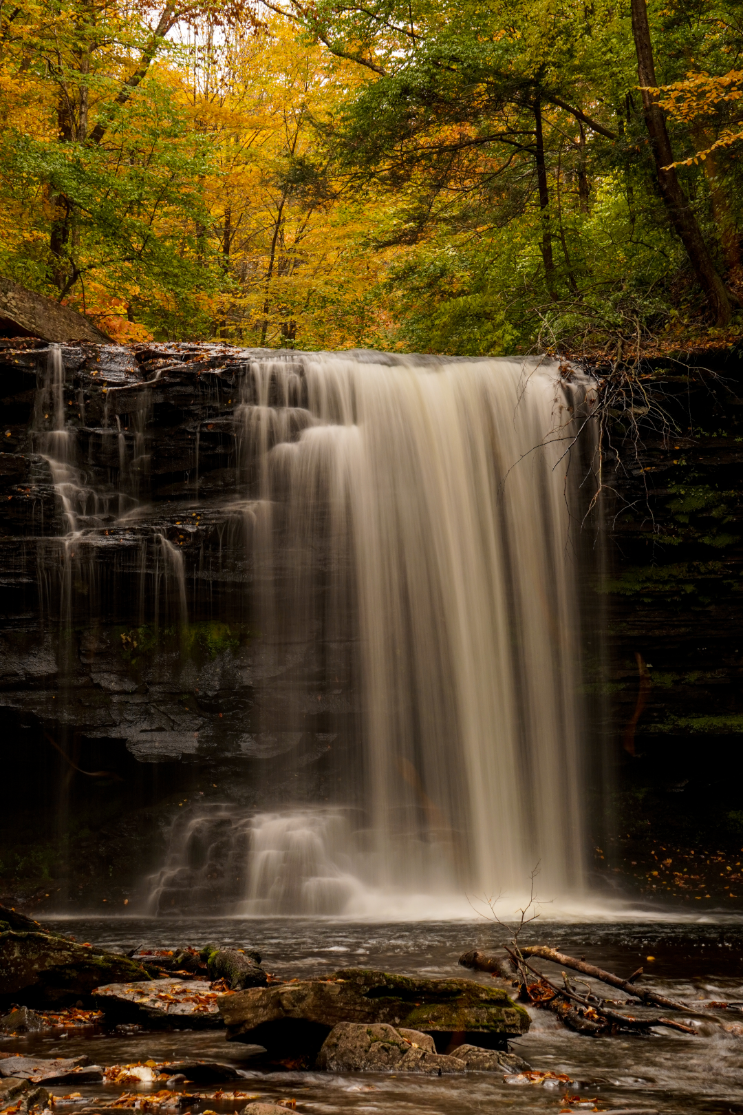 Harrison Wright Falls