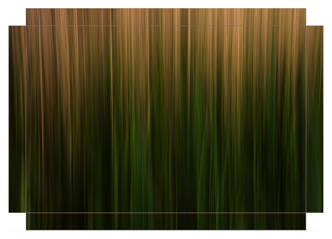 Long Grass Intimacy