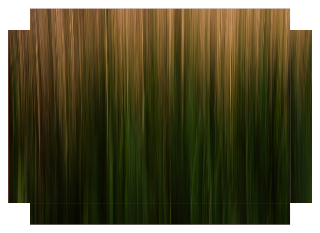 Long Grass Intimacy
