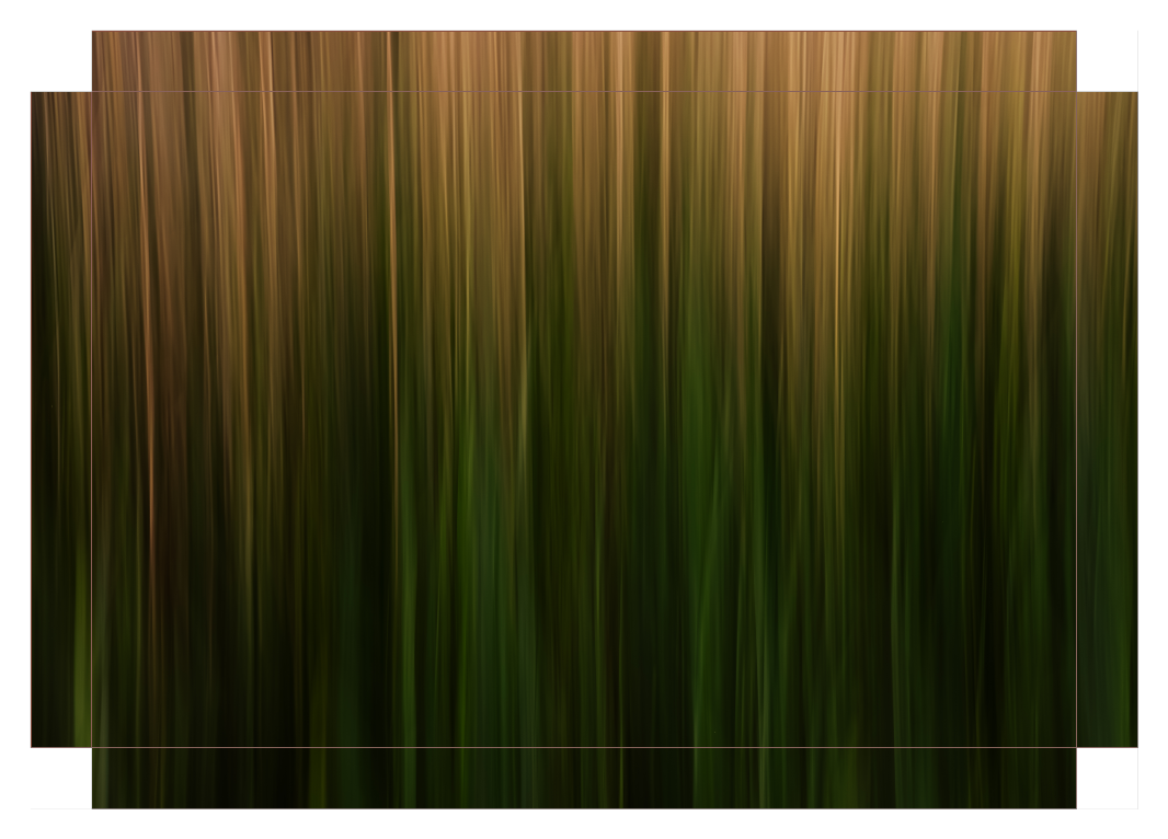 Long Grass Intimacy