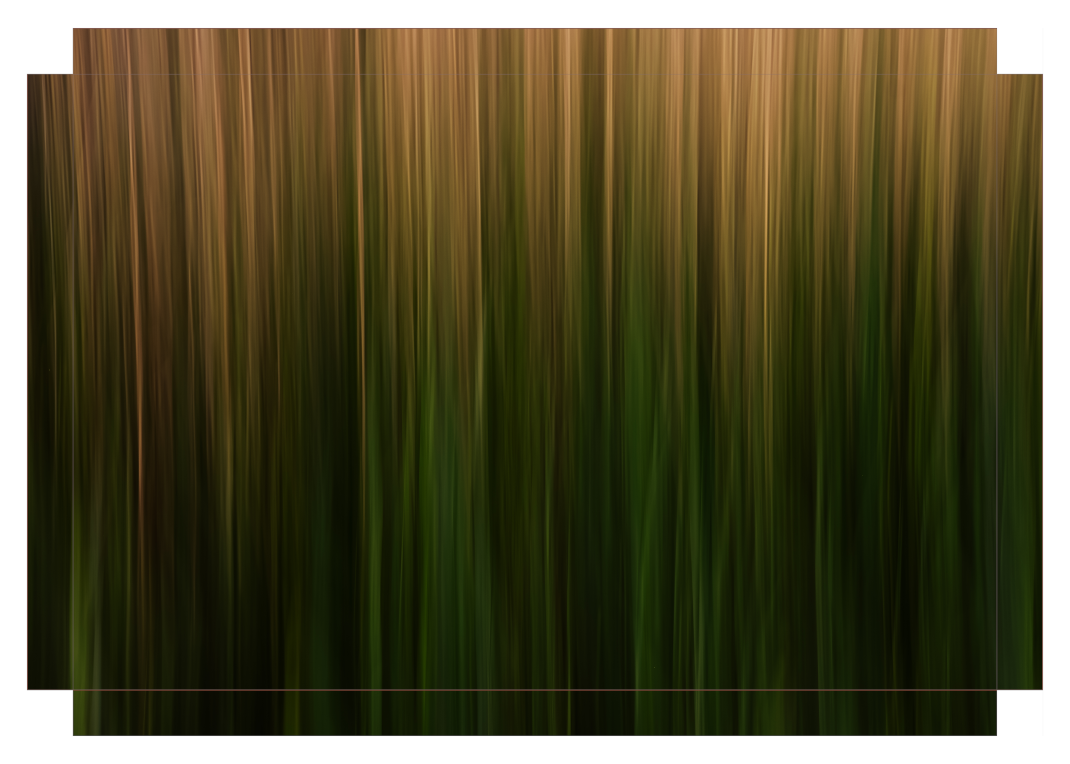 Long Grass Intimacy