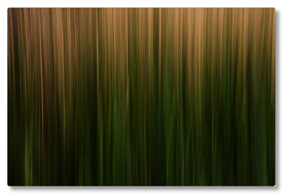 Long Grass Intimacy