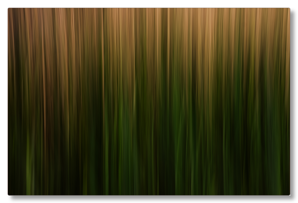 Long Grass Intimacy