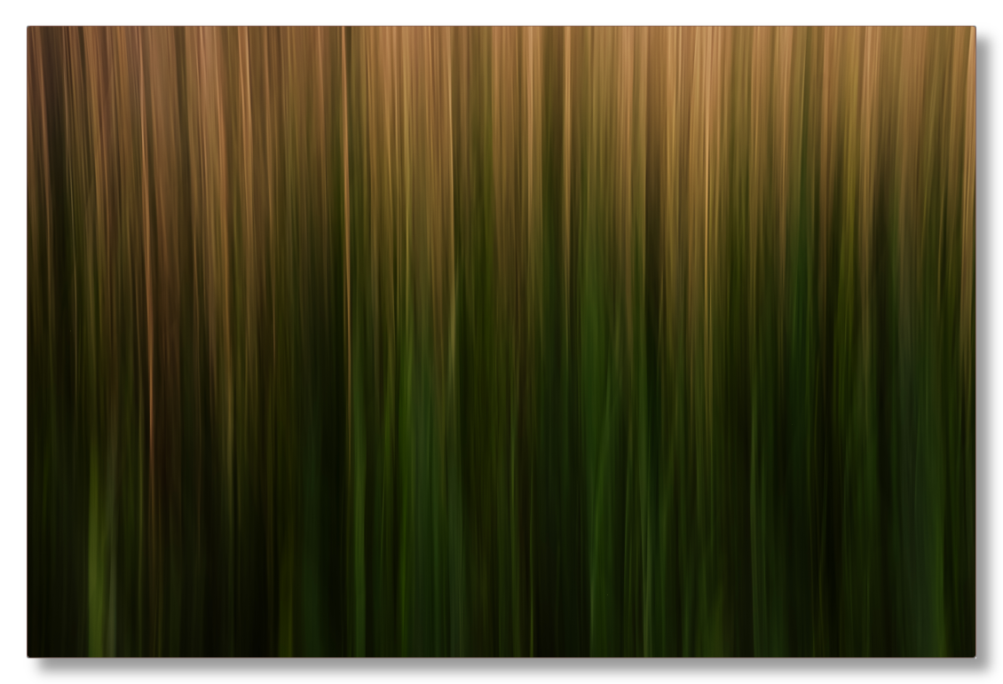 Long Grass Intimacy