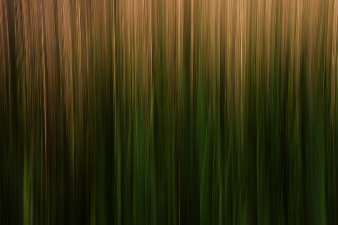 Long Grass Intimacy