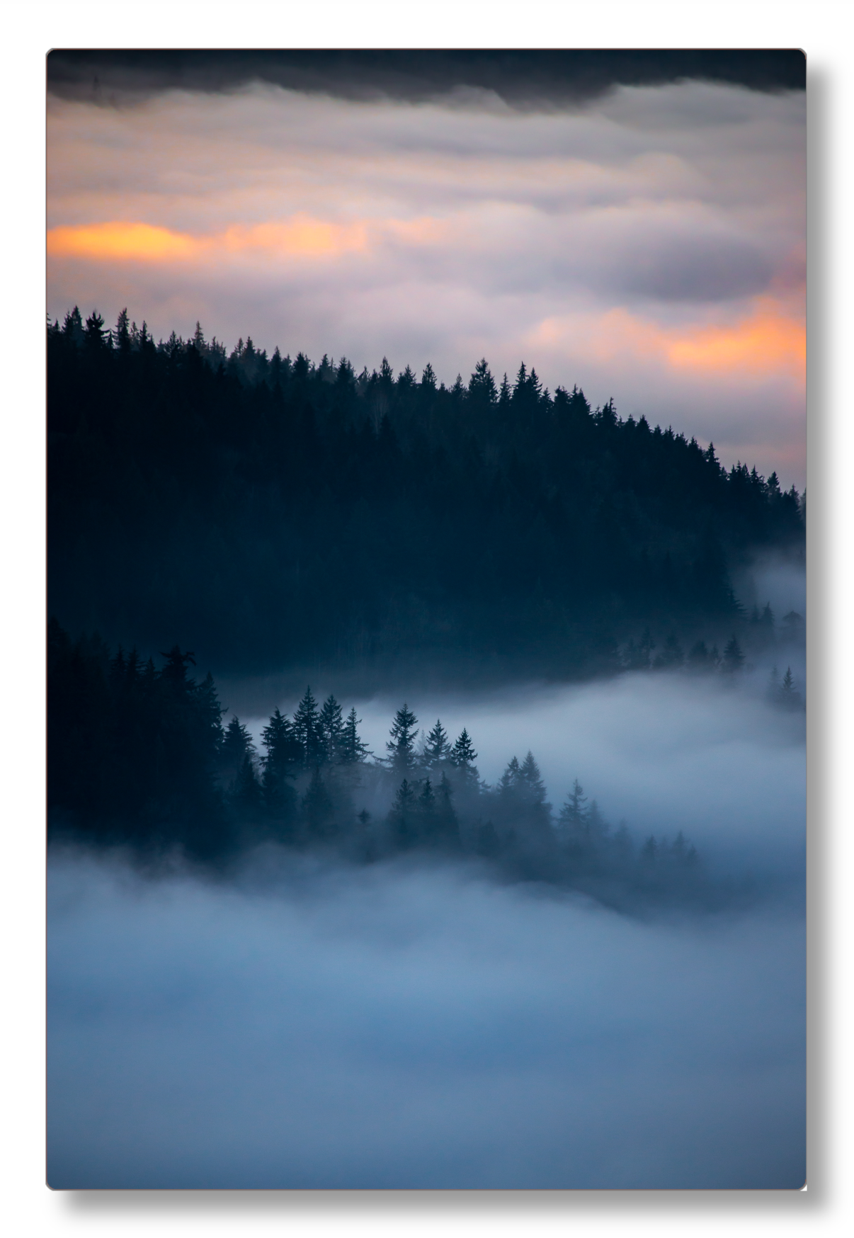 - Moody Spring -