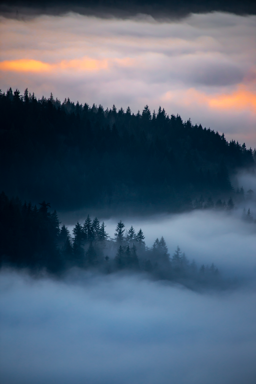 - Moody Spring -