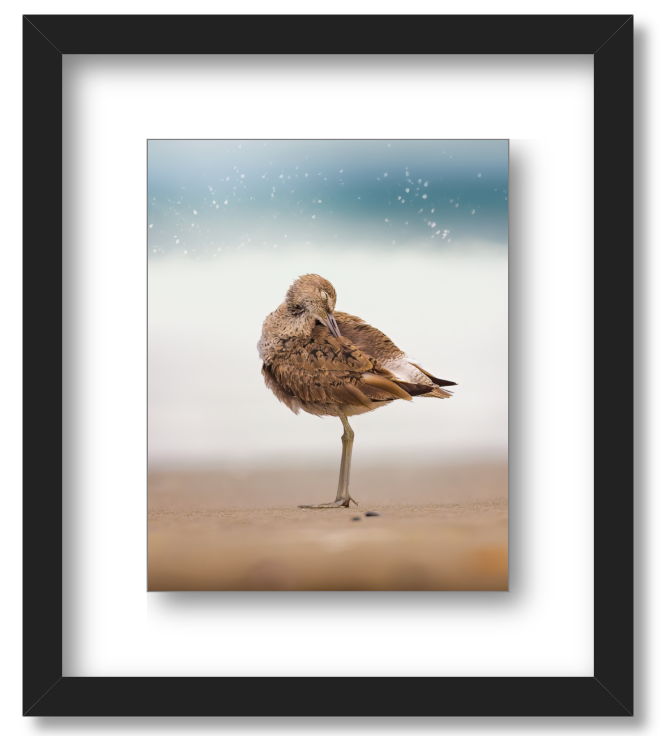 Peaceful Preening