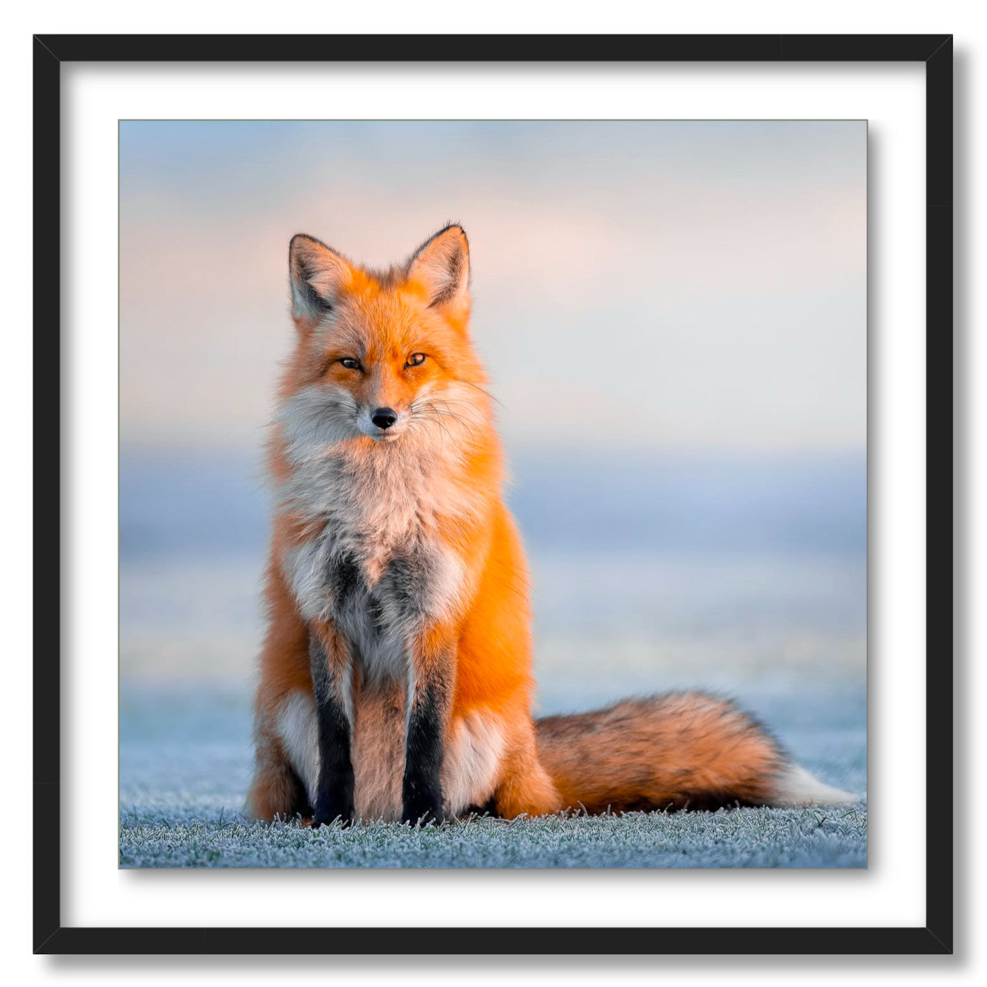 "Regal"