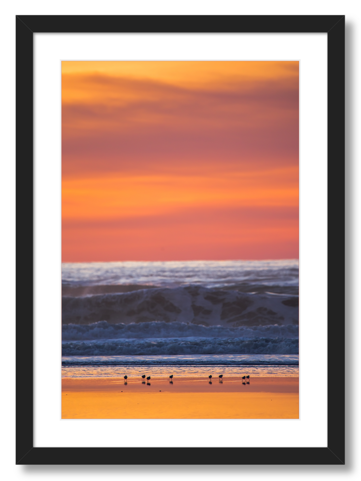 Shorebirds at Sunset