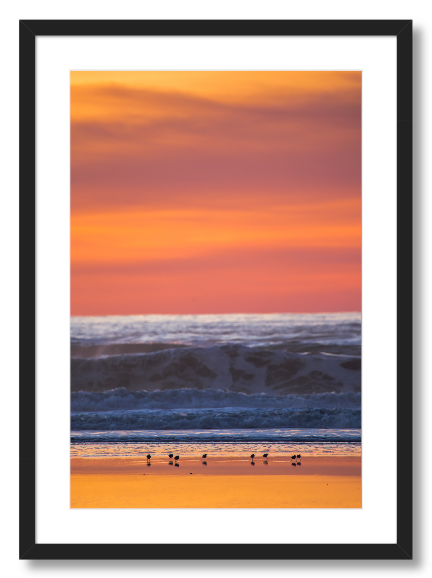 Shorebirds at Sunset