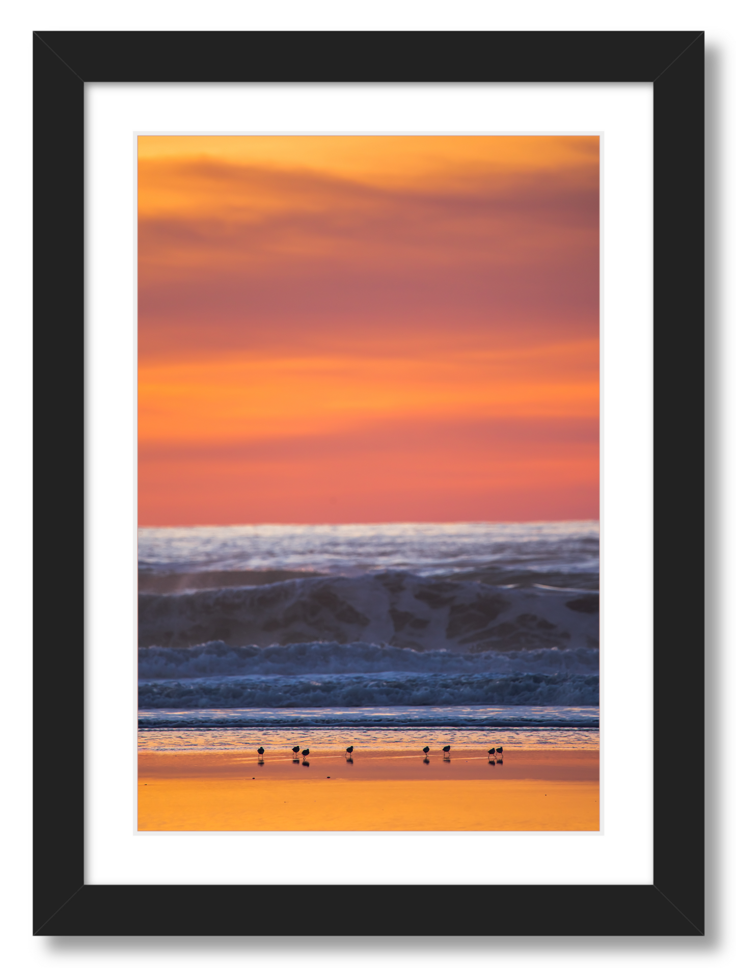 Shorebirds at Sunset