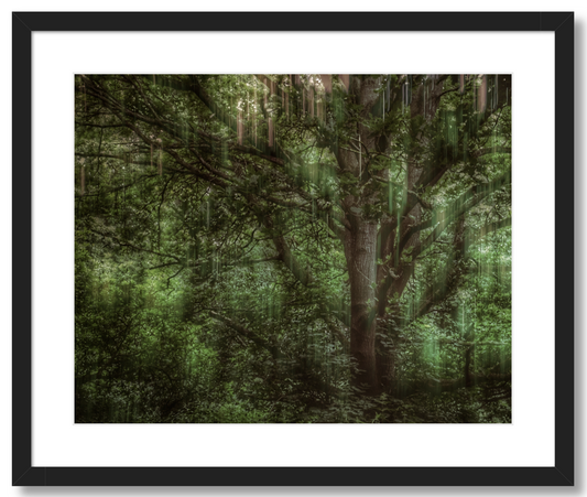 Tree Movements