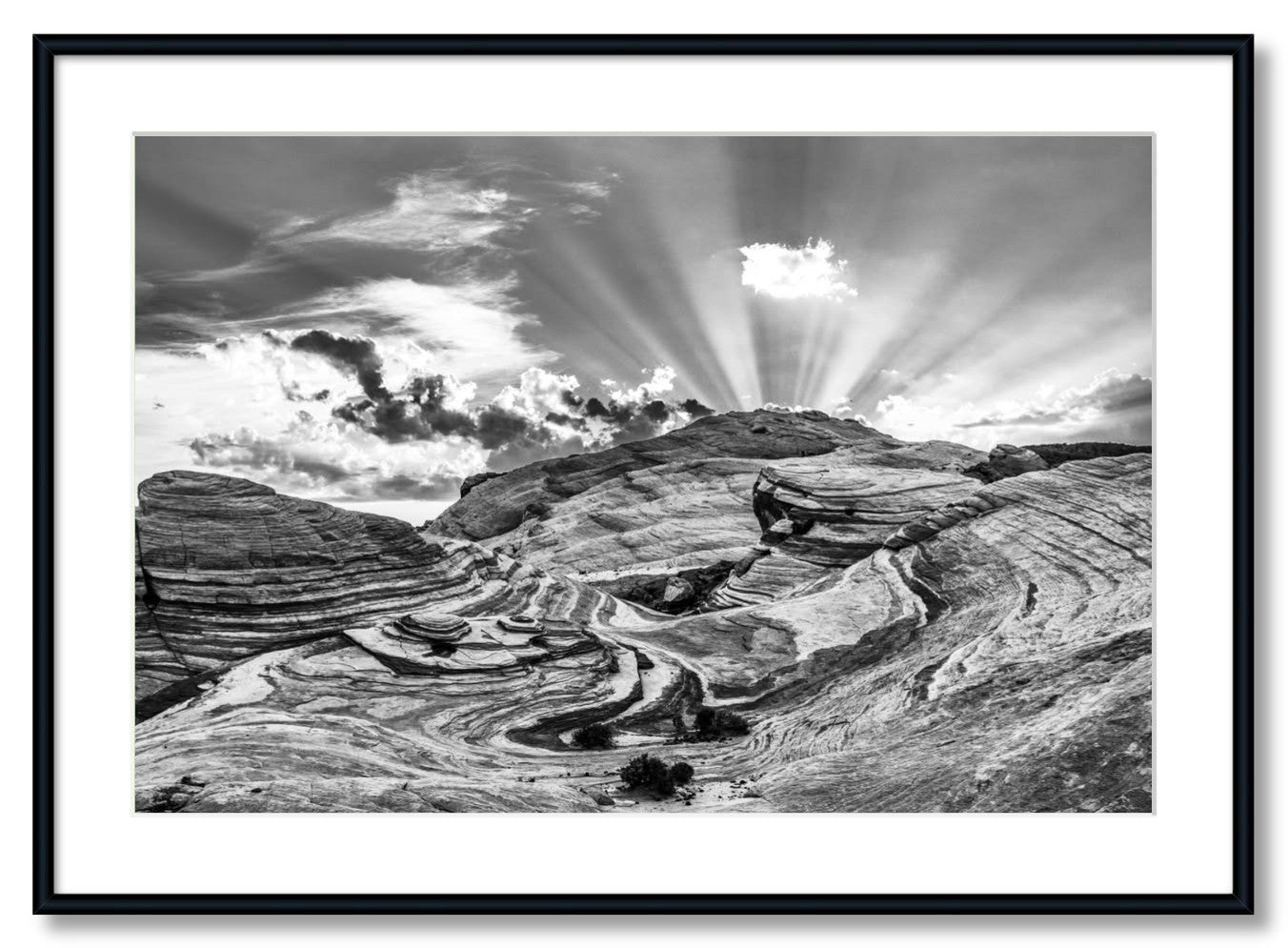 "VOF Wave"