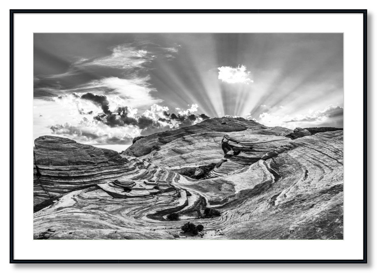 "VOF Wave"