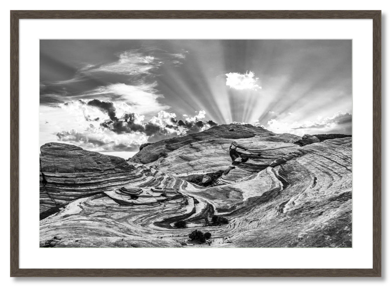 "VOF Wave"
