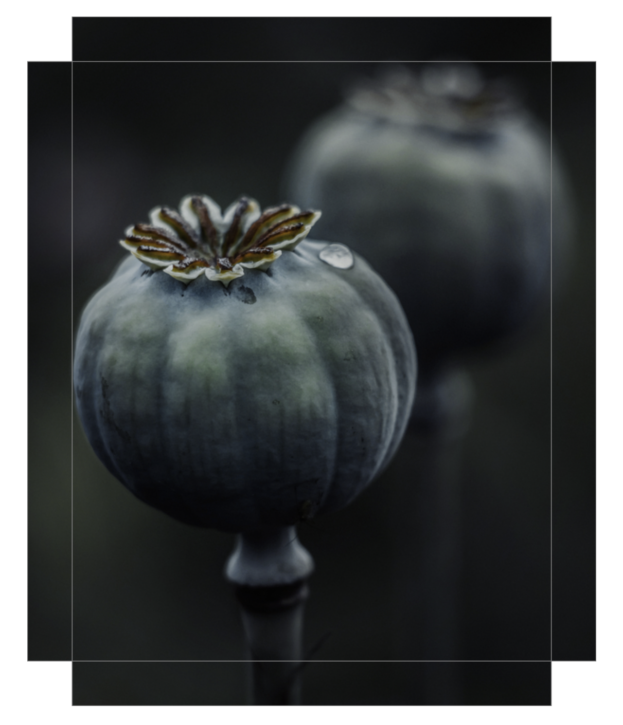 Dark Macro Magic