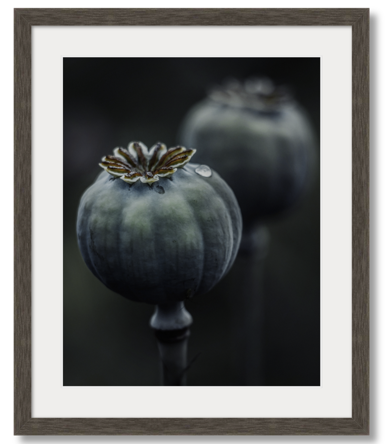 Dark Macro Magic