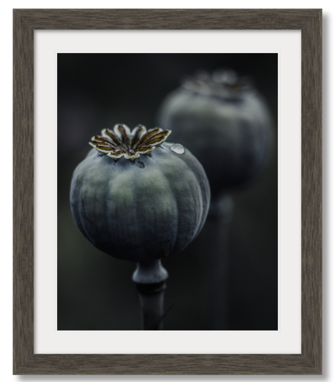 Dark Macro Magic