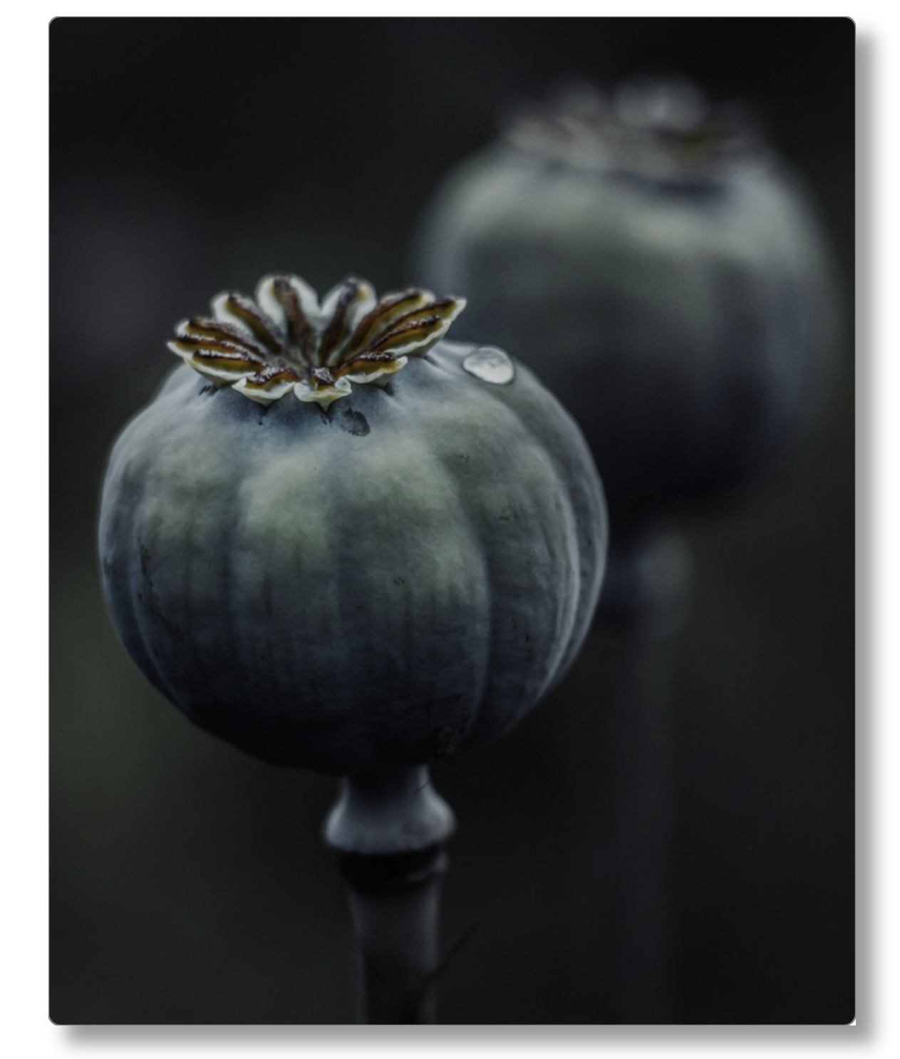 Dark Macro Magic