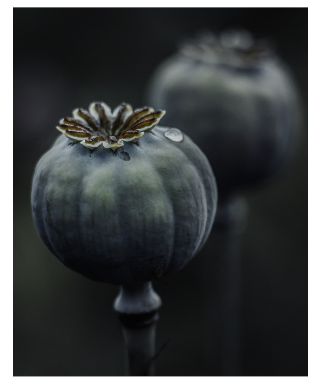Dark Macro Magic