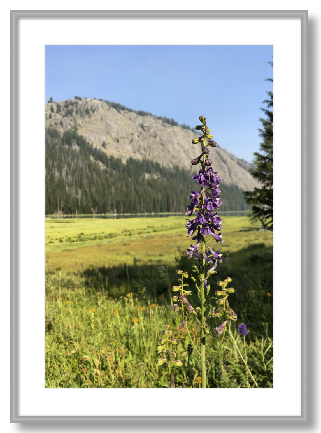 Green River Flowers