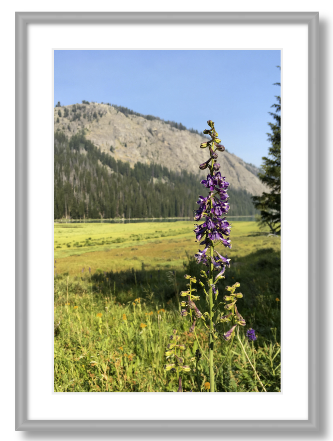 Green River Flowers
