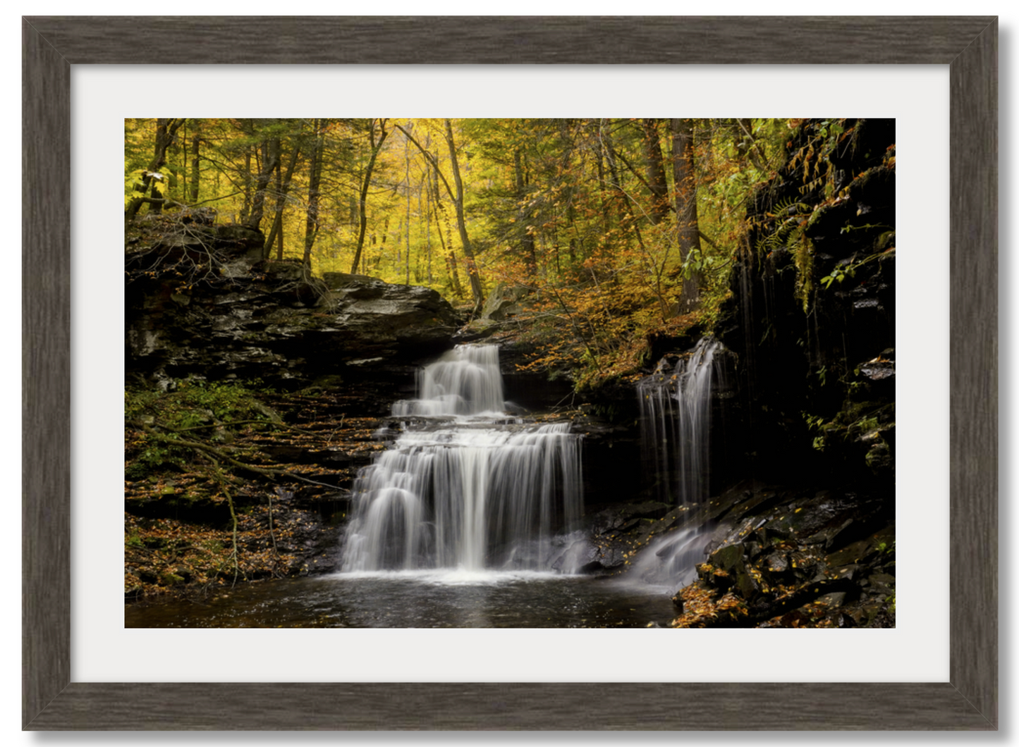 RB Ricketts Falls