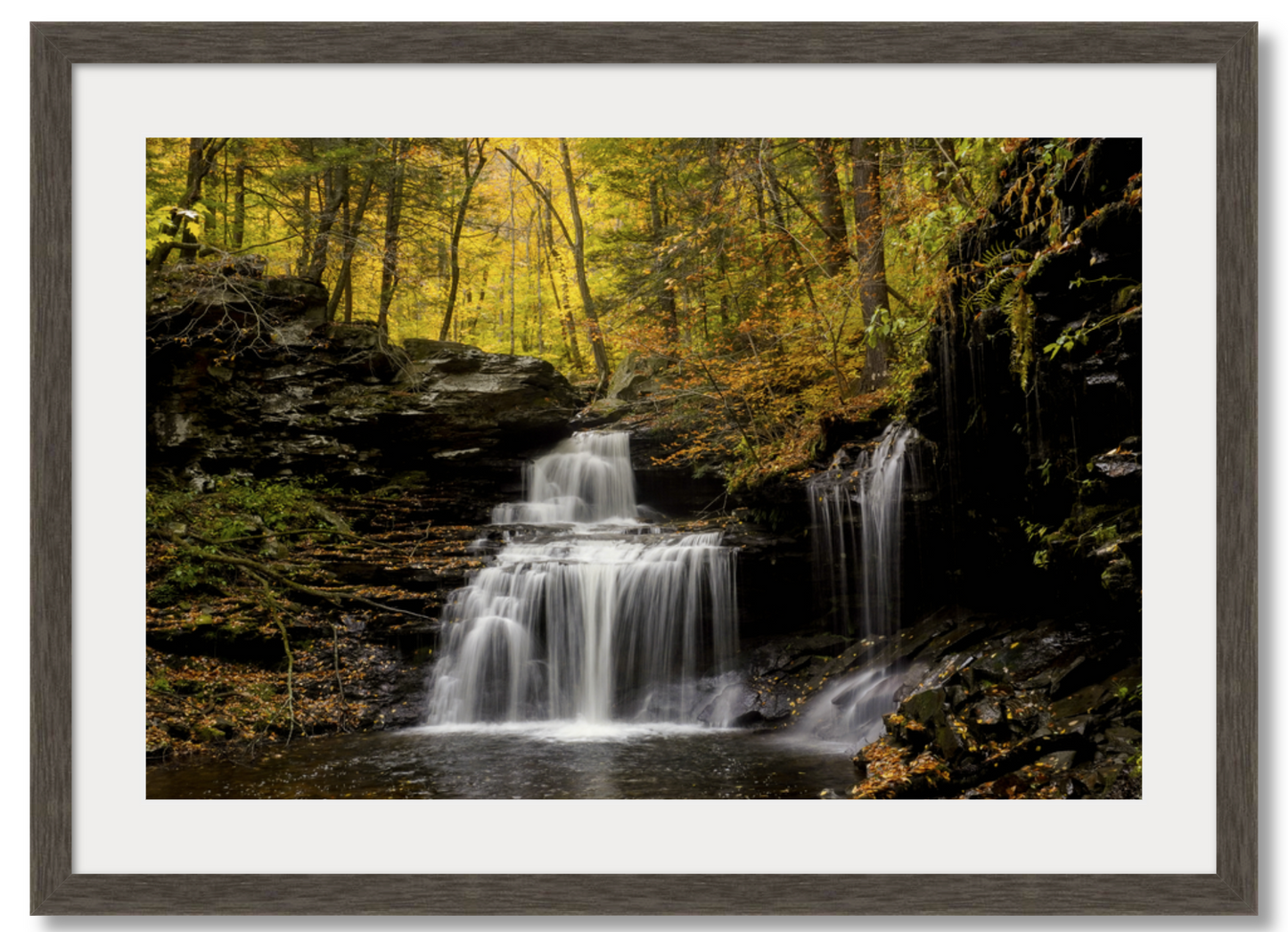 RB Ricketts Falls