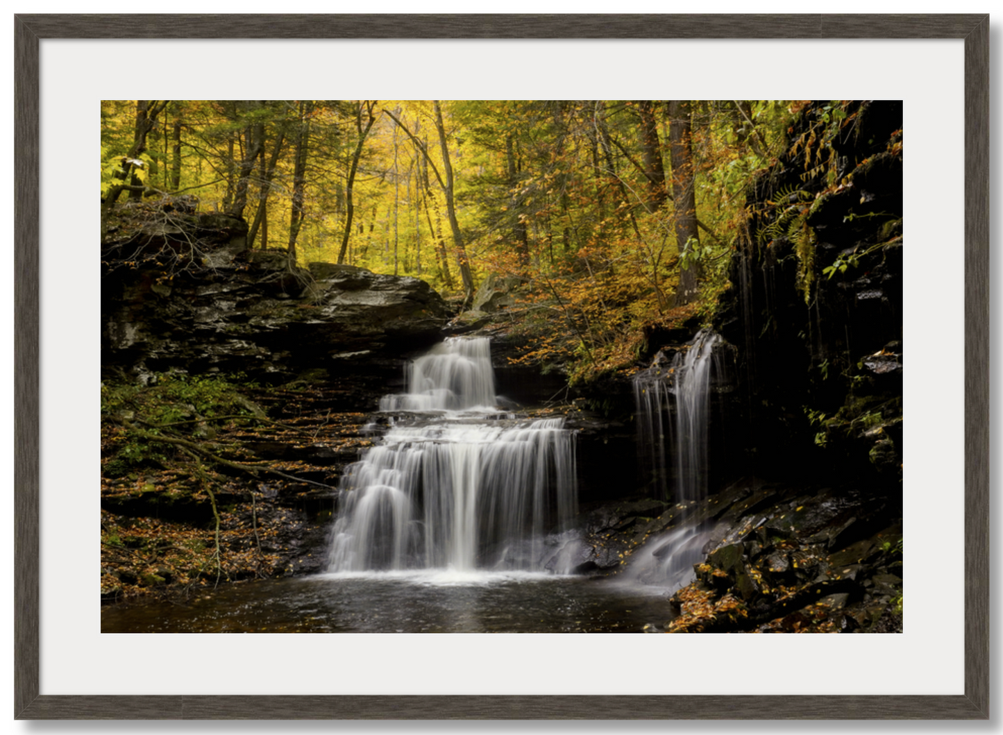 RB Ricketts Falls