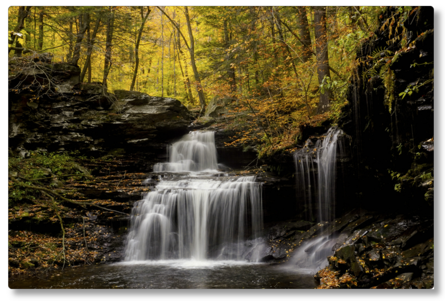 RB Ricketts Falls