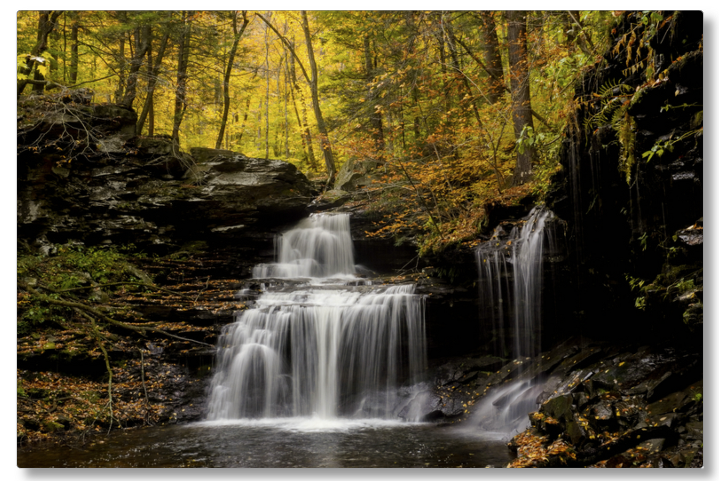 RB Ricketts Falls