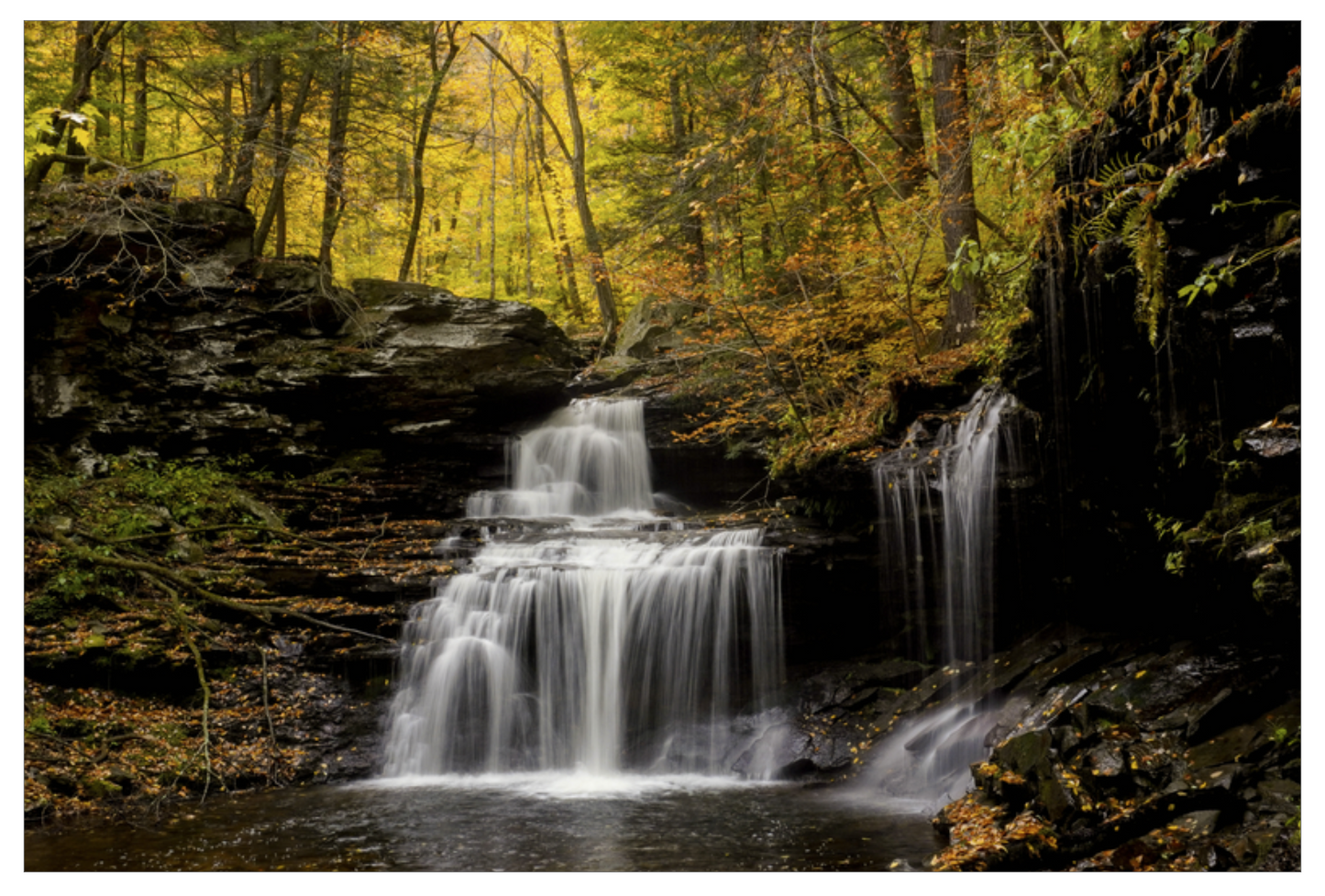 RB Ricketts Falls