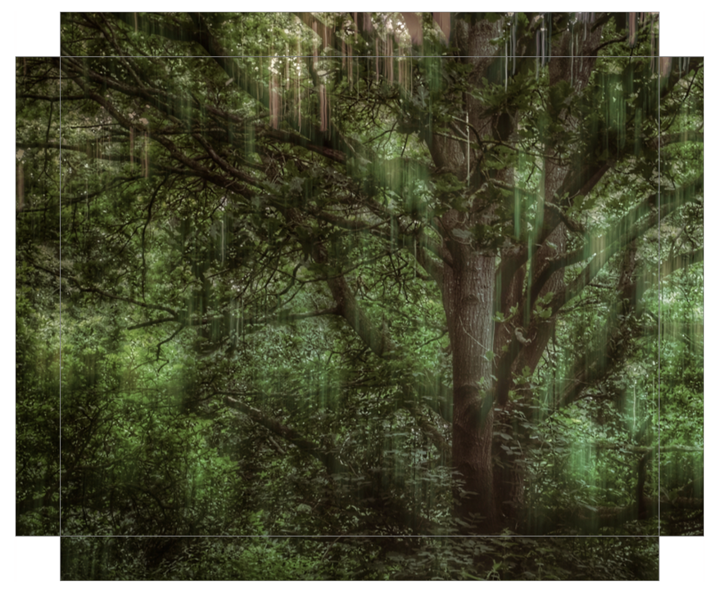 Tree Movements