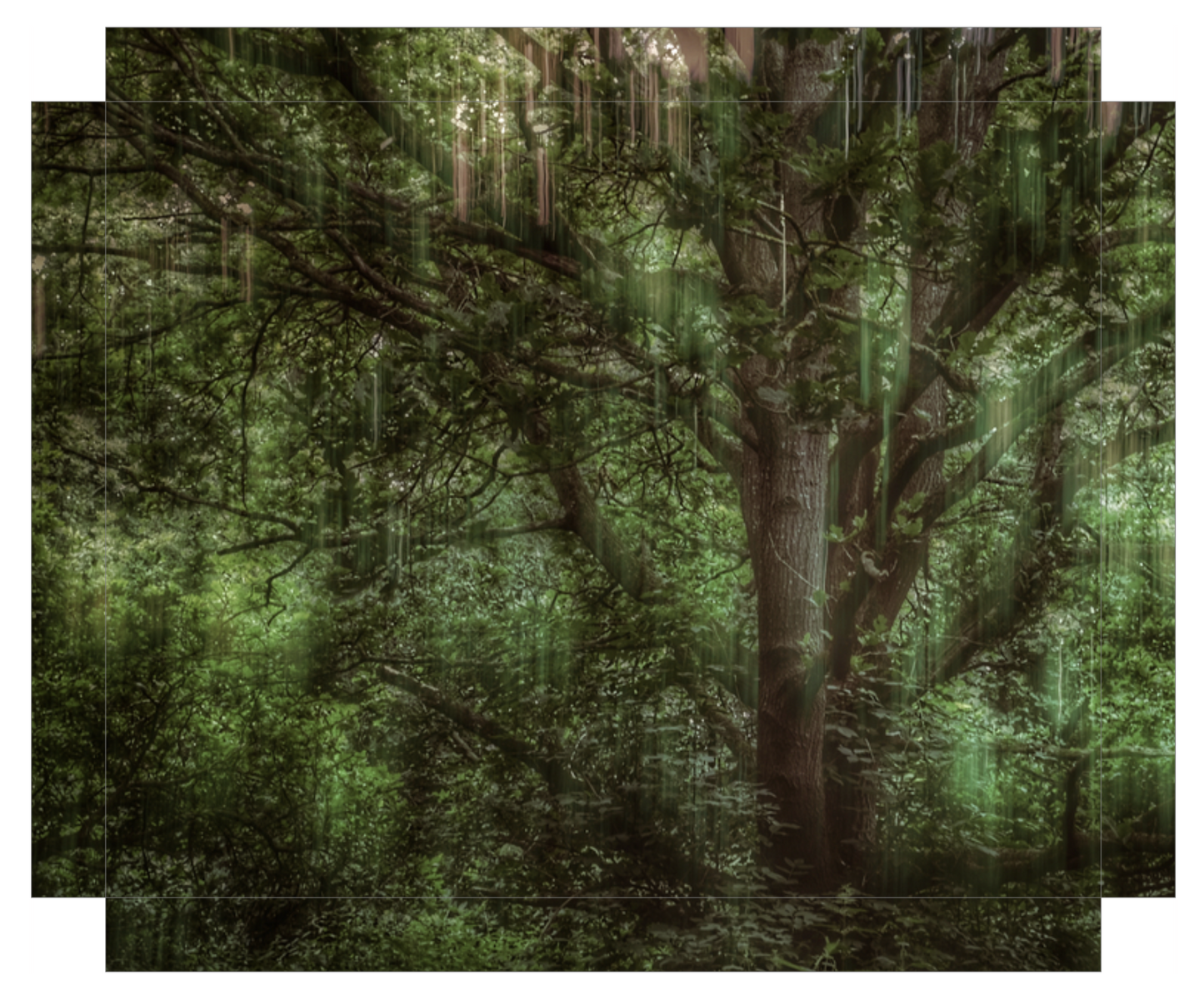 Tree Movements
