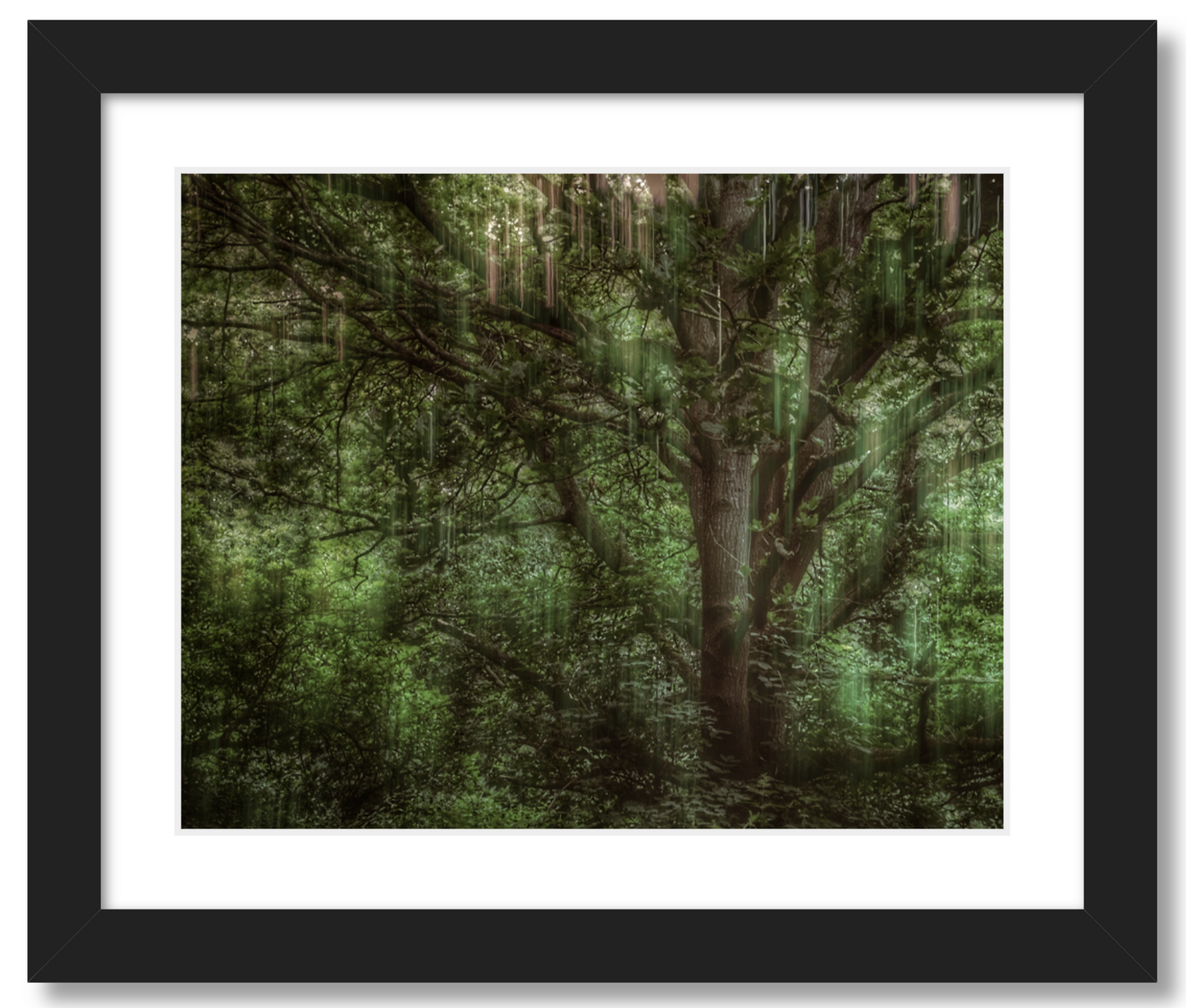 Tree Movements