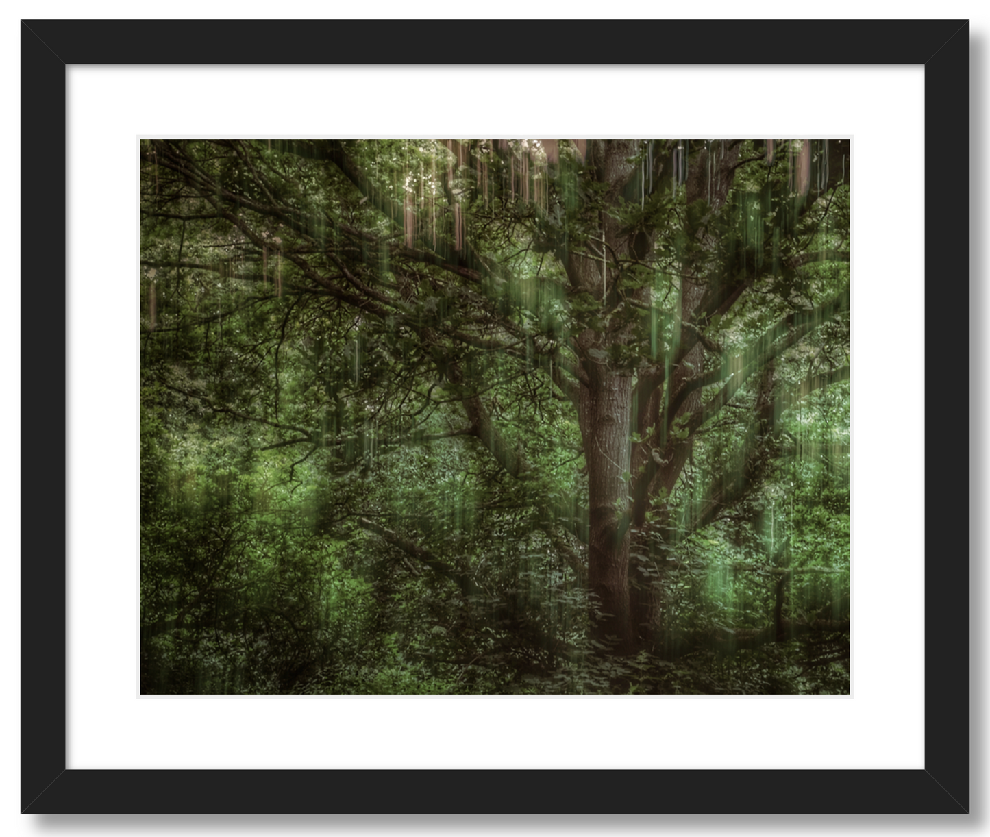 Tree Movements