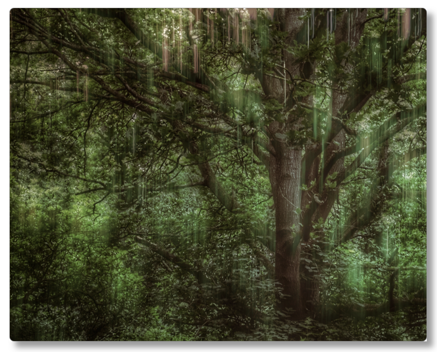 Tree Movements