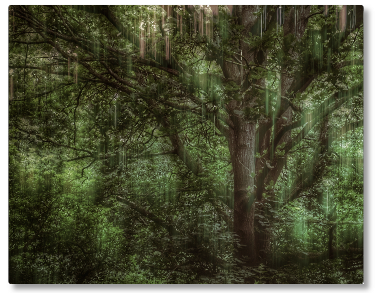 Tree Movements