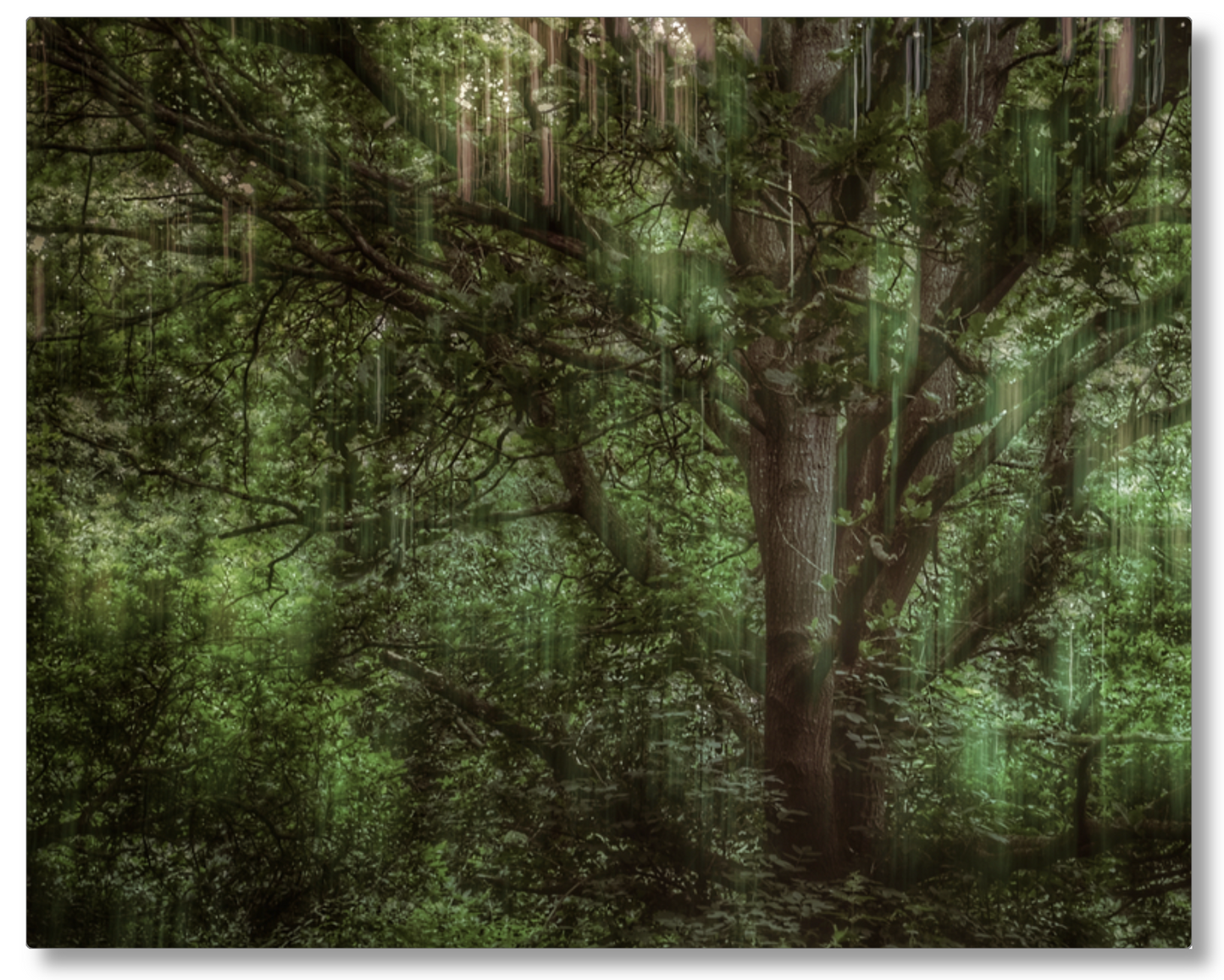 Tree Movements