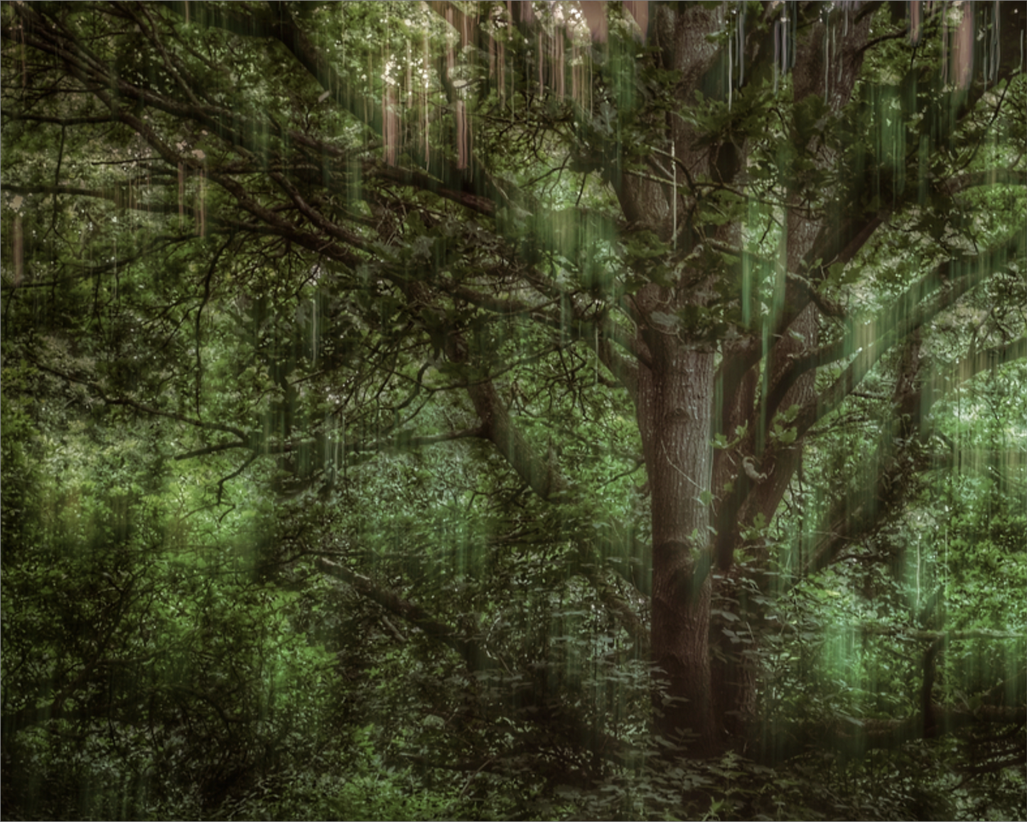 Tree Movements